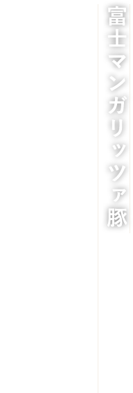 富士マンガリッツァ豚 国宝ステーキ